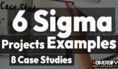 Six Sigma Project Examples in Manufacturing: Case Studies That Delivered ROI [2026]